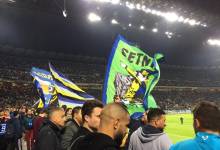 Tifosi